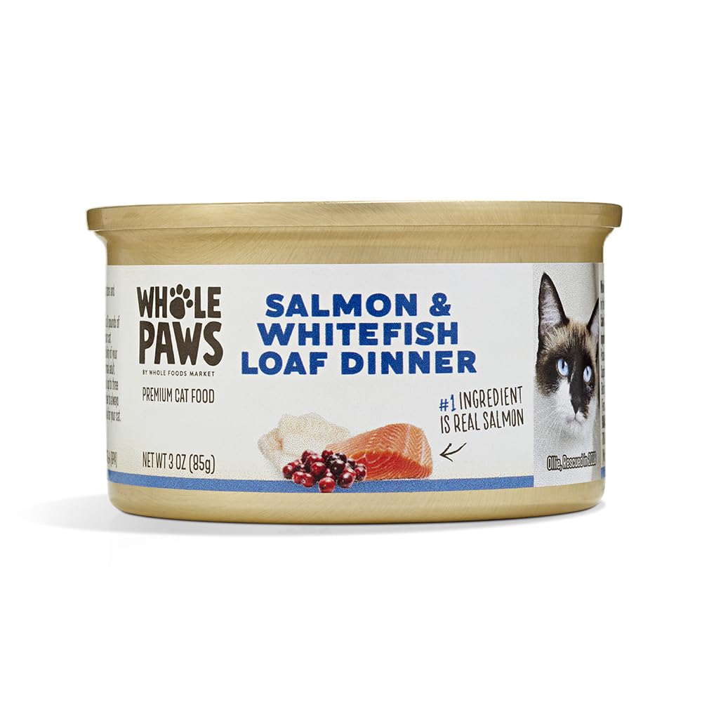 Whole Paws Saumon et Églefin – terrine humide, dîner savoureux pour chat, pratique et appétissant.