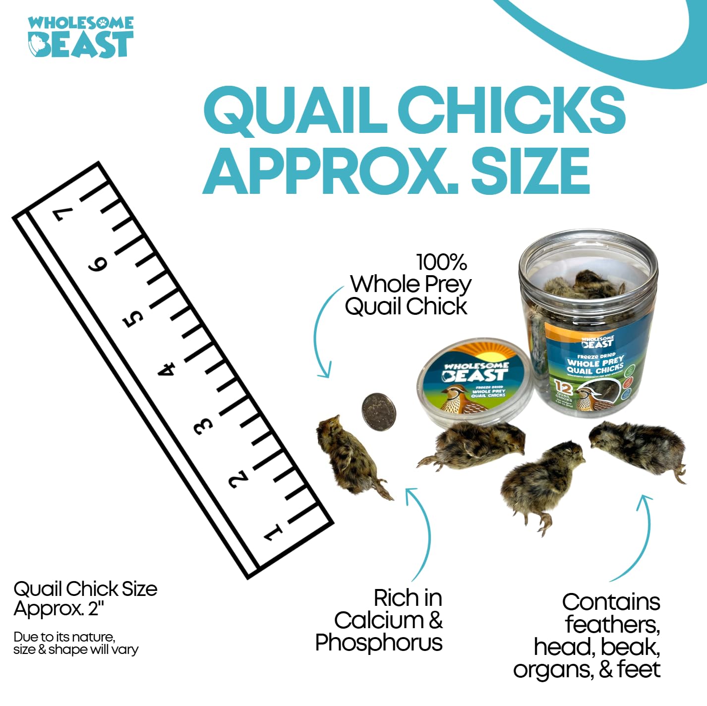 Wholesome Beast cailles tailles 2 pouces: bouchée parfaite pour chiens et chats.
