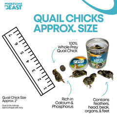 Wholesome Beast cailles tailles 2 pouces: bouchée parfaite pour chiens et chats.