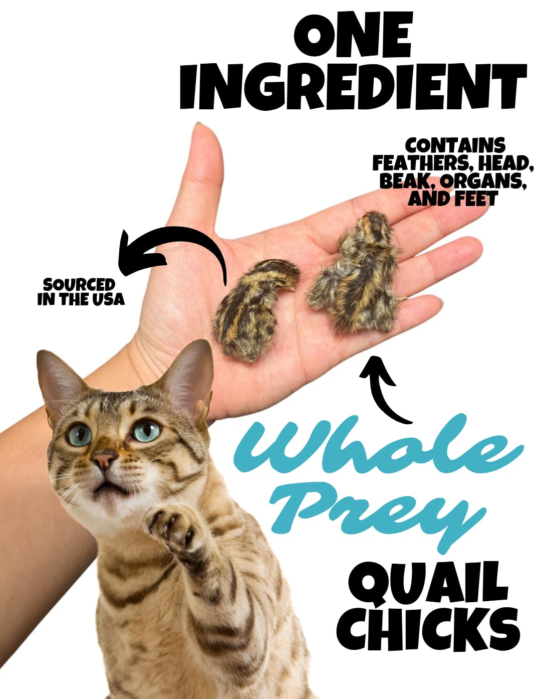 Wholesome Beast cailles etats-unis: origine ferme fiable pour une alimentation naturelle.