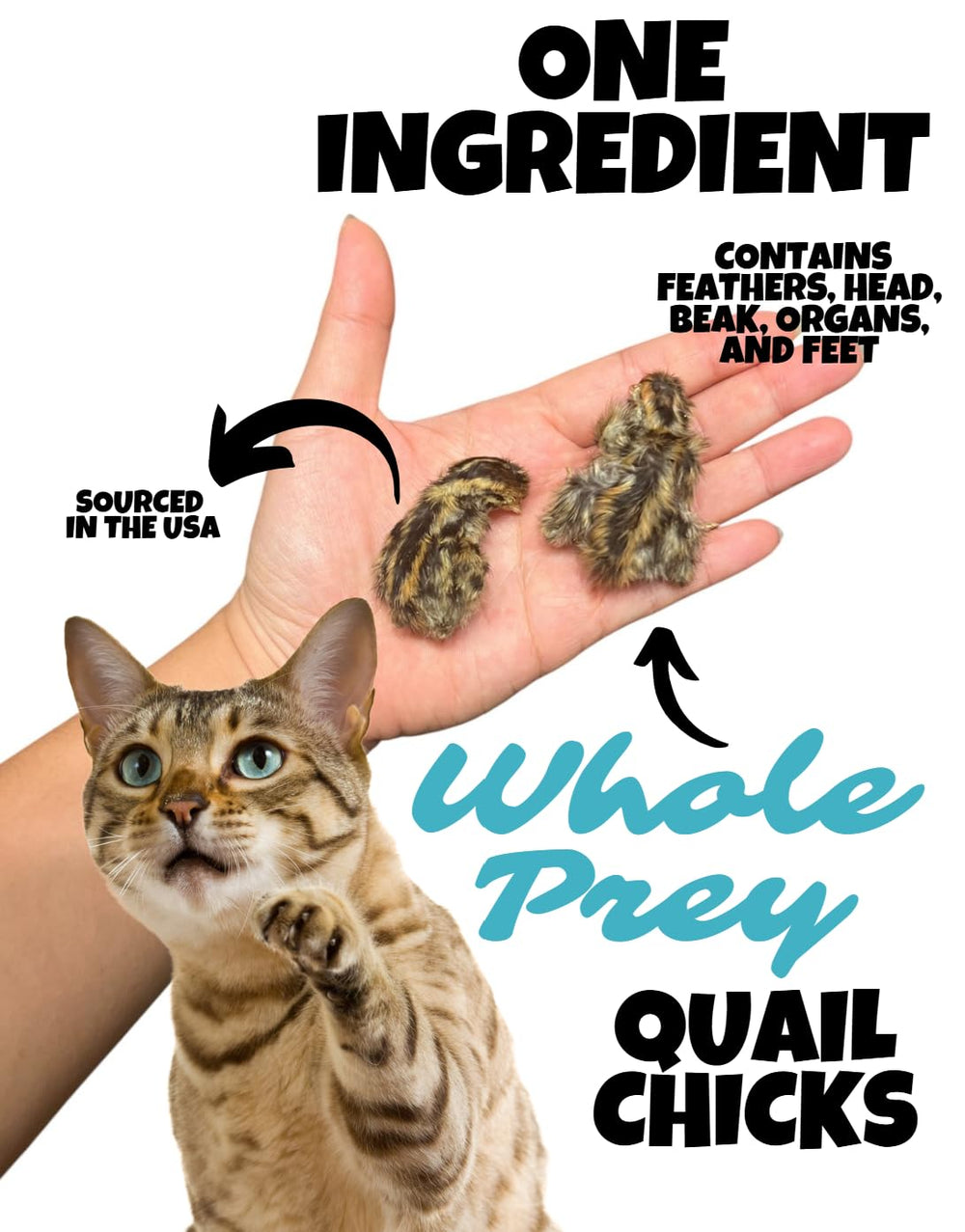 Wholesome Beast cailles etats-unis: origine ferme fiable pour une alimentation naturelle.