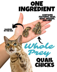 Wholesome Beast cailles etats-unis: origine ferme fiable pour une alimentation naturelle.