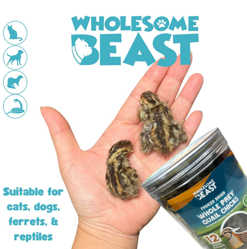 Wholesome Beast texture croquante: croquant apprécié par chiens et chats.