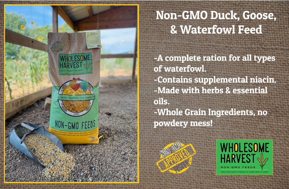 Wholesome Harvest nutrition-equilibree : nutrition équilibrée pour croissance stable.