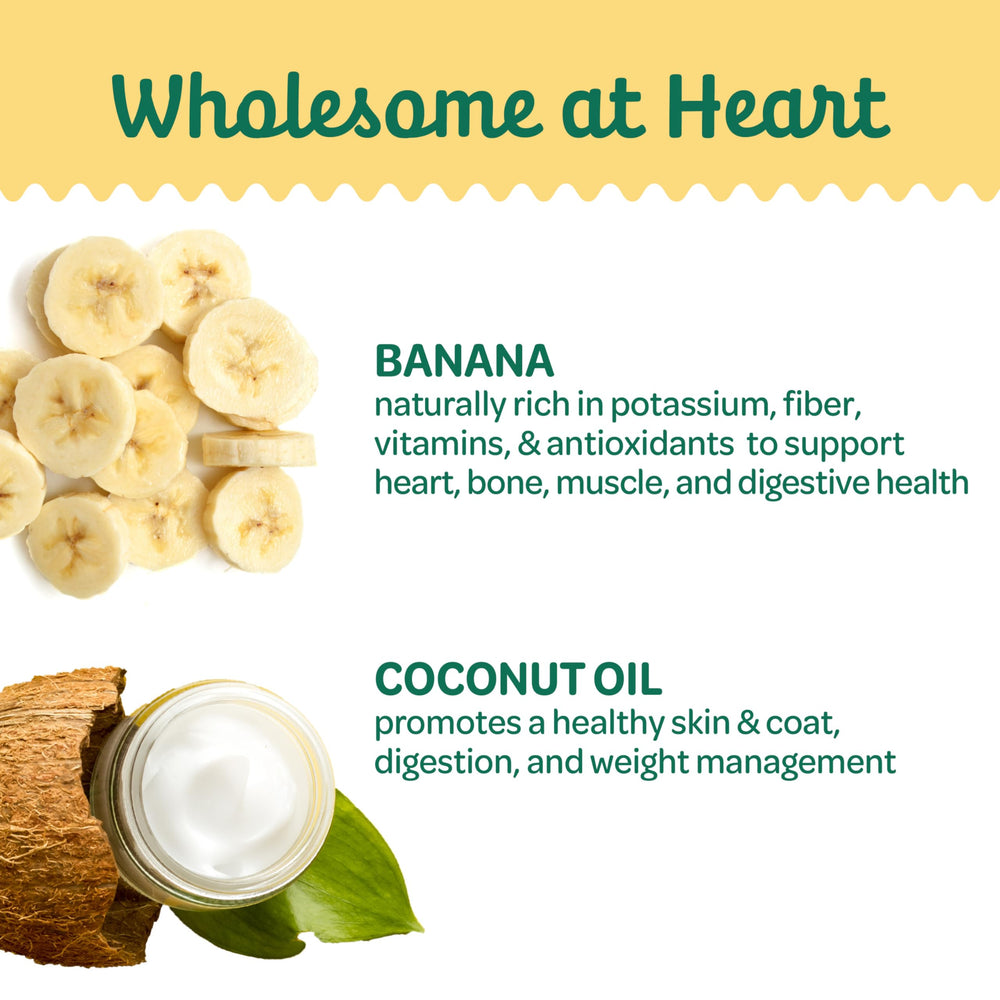Wholesome Pride Bouchées Banane – sans céréales, parfaite pour collations quotidiennes