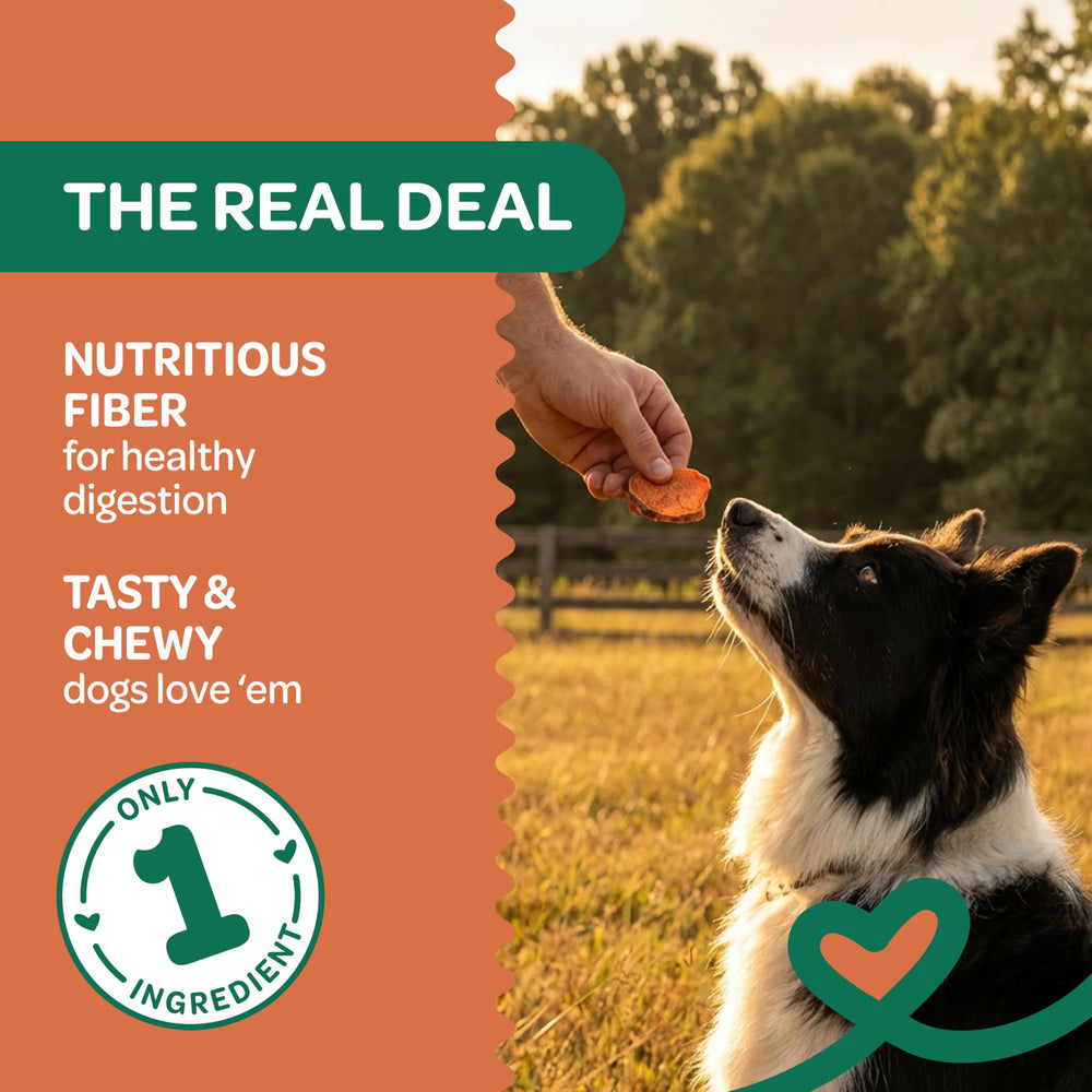 Wholesome Pride Patate Douce Couleurs Naturelles, friandise naturelle sans artifices pour votre chien.