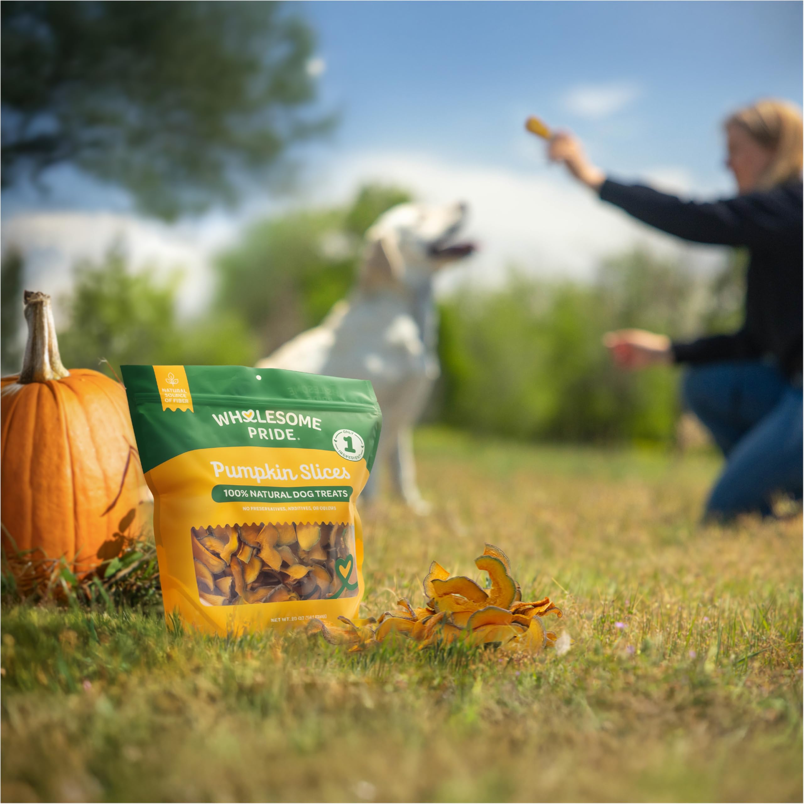 Wholesome Pride Tranches Courge Chien Ingrédients Minimaux: naturel et simple, apaisant pour les papilles