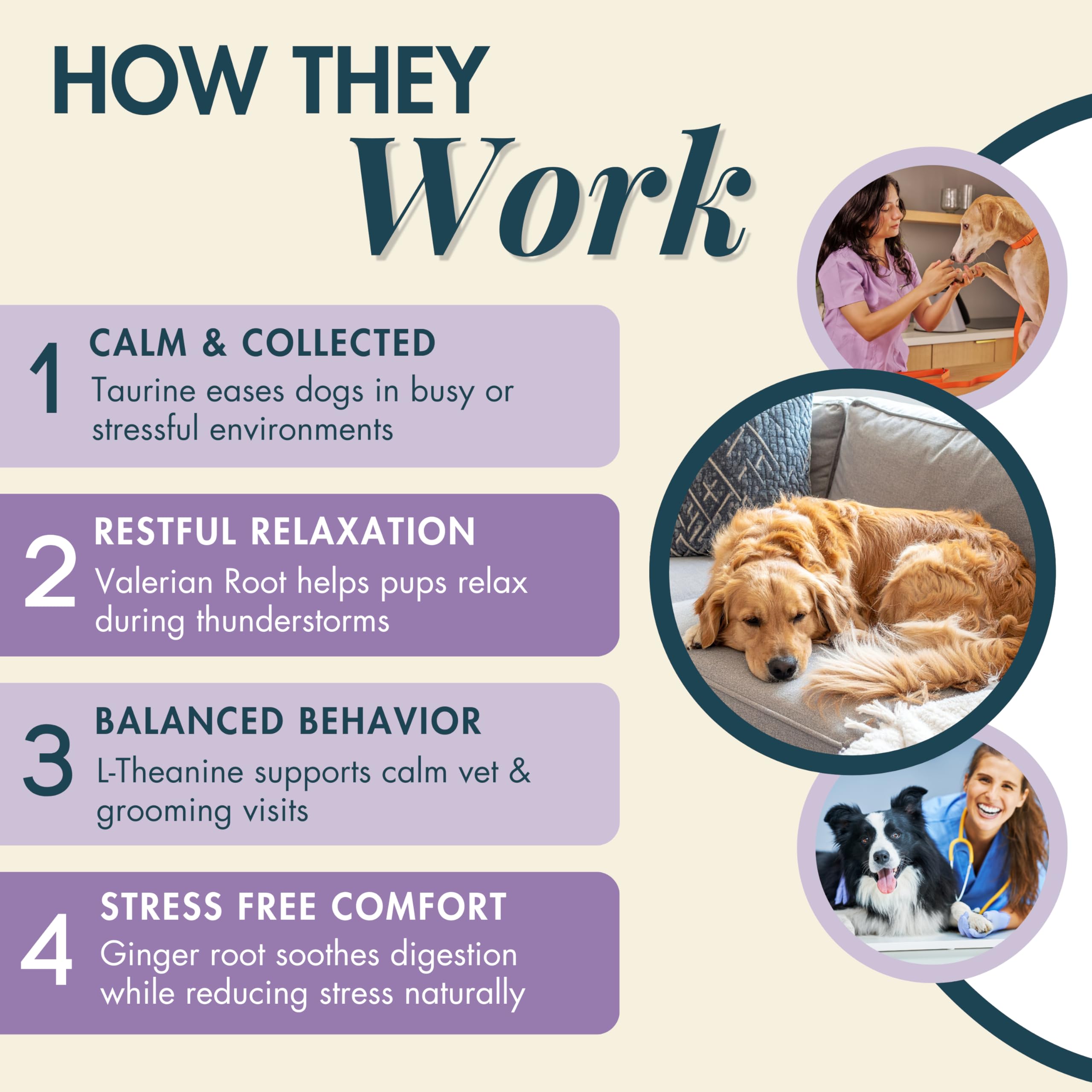 Wholistic Pet Organics – gros plan sur les friandises pour chien et leur effet apaisant