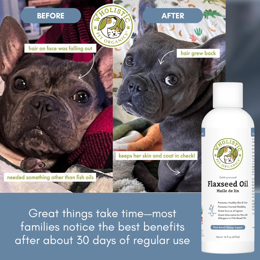 Alternative poisson Wholistic Pet Organics pour animaux sensibles.