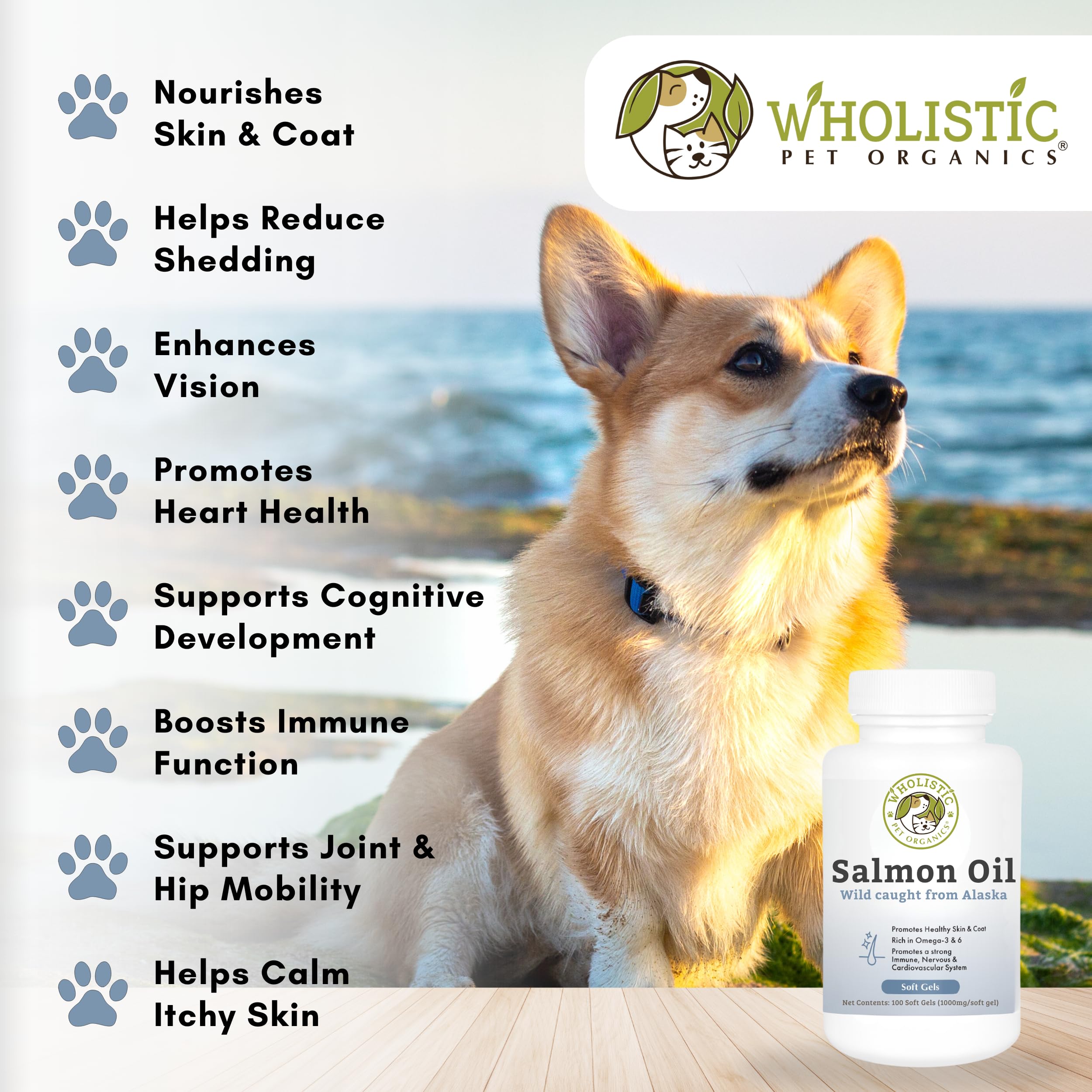 Soutien articulations et mobilité avec Wholistic Pet Organics huile saumon