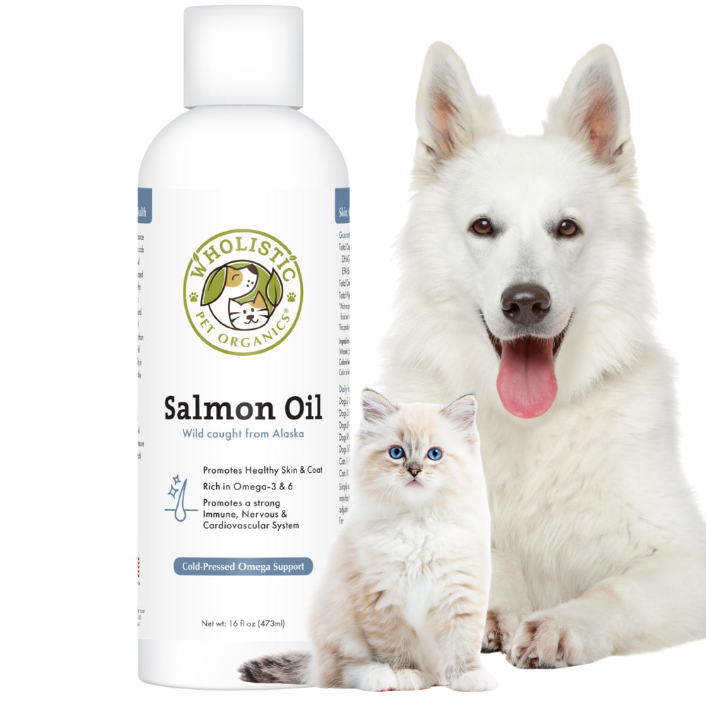 Wholistic Pet Organics huile saumon Alaska sauvage, bouteille visible, potentielle amélioration du pelage.