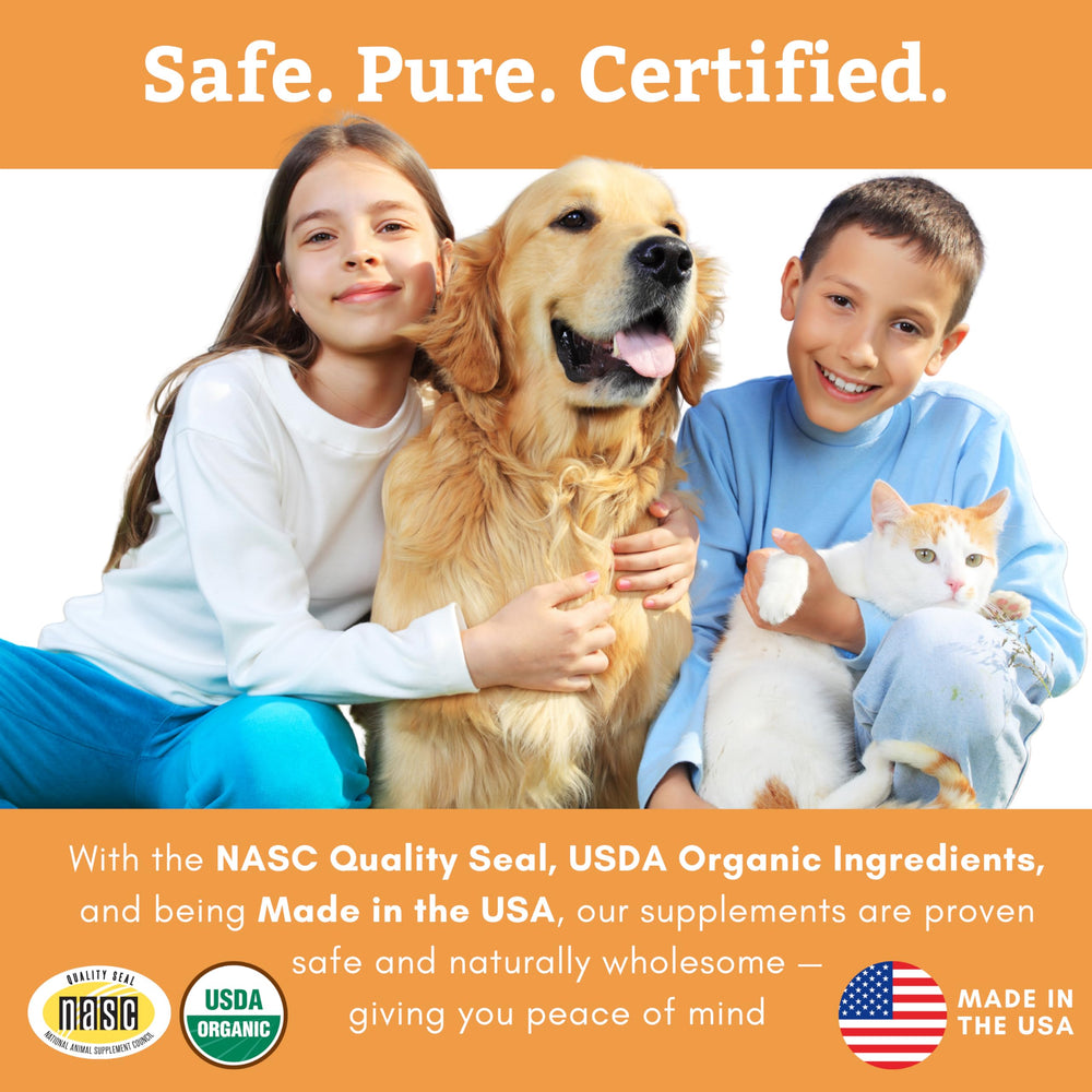 Wholistic Pet Organics Canine Complete : ingrédients biologiques et non-OGM pour une alimentation naturelle.