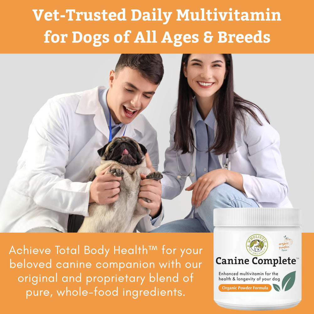 Wholistic Pet Organics Canine Complete – citrouille biologique pour un soutien digestif naturel.