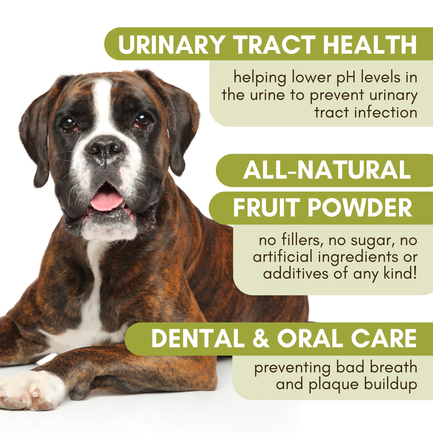 Wholistic Pet Organics canneberge dans le bol : intégration facile dans l’alimentation.