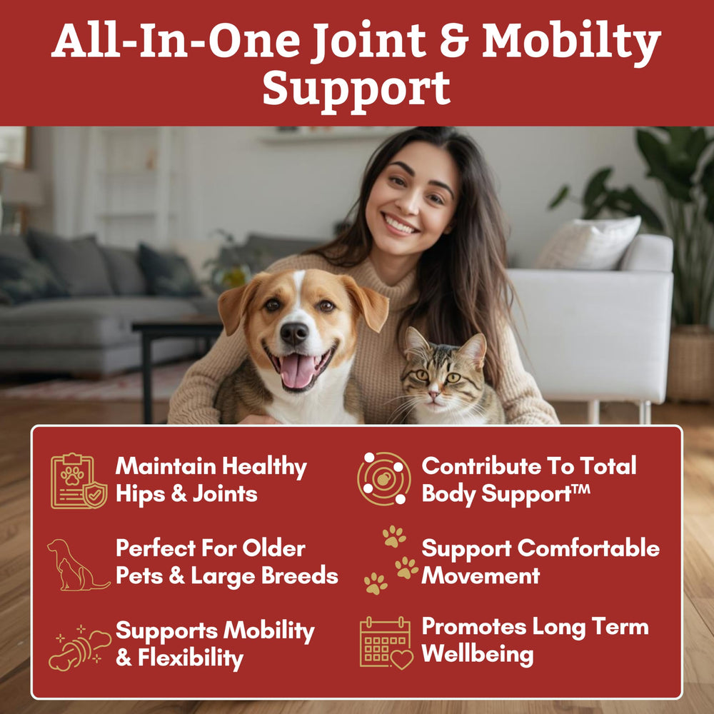 Chat heureux et mobile avec Wholistic Pet Organics