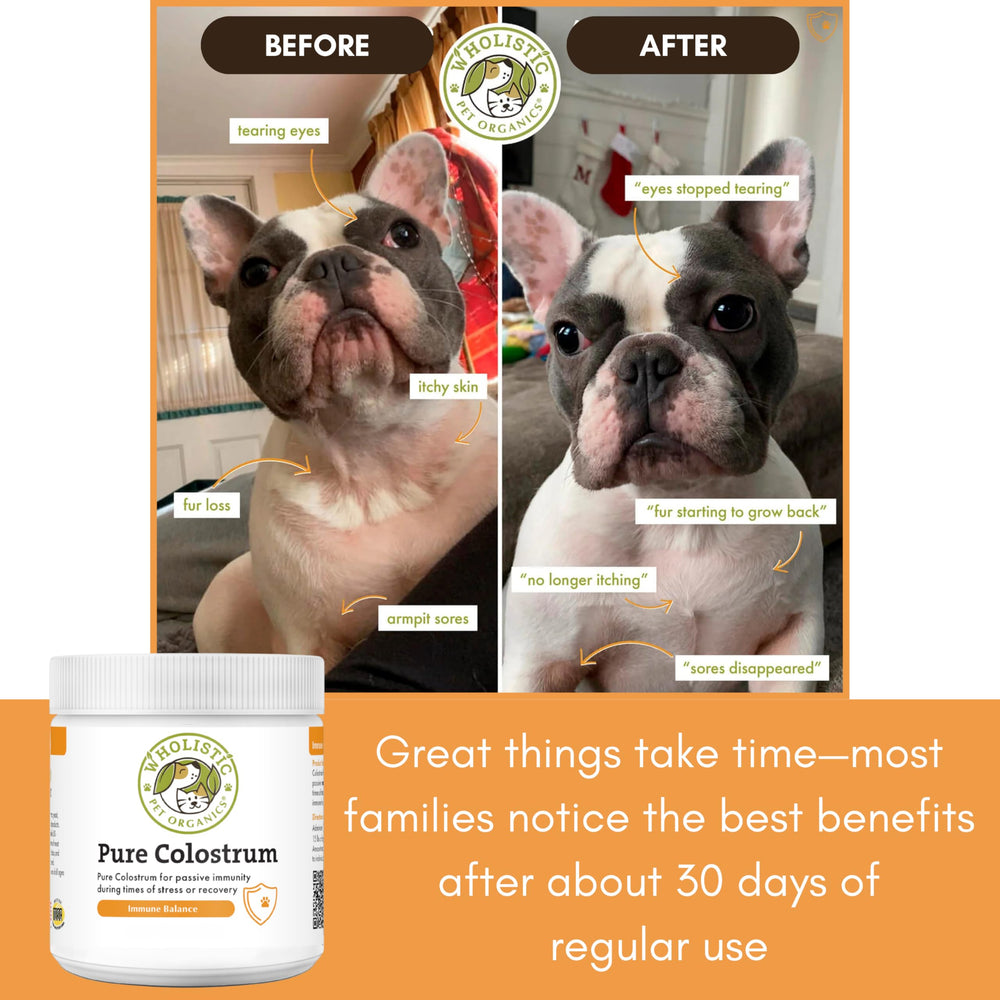 Colostrum Wholistic Pet Organics pour allergies saisonnières chez chiens et chats.