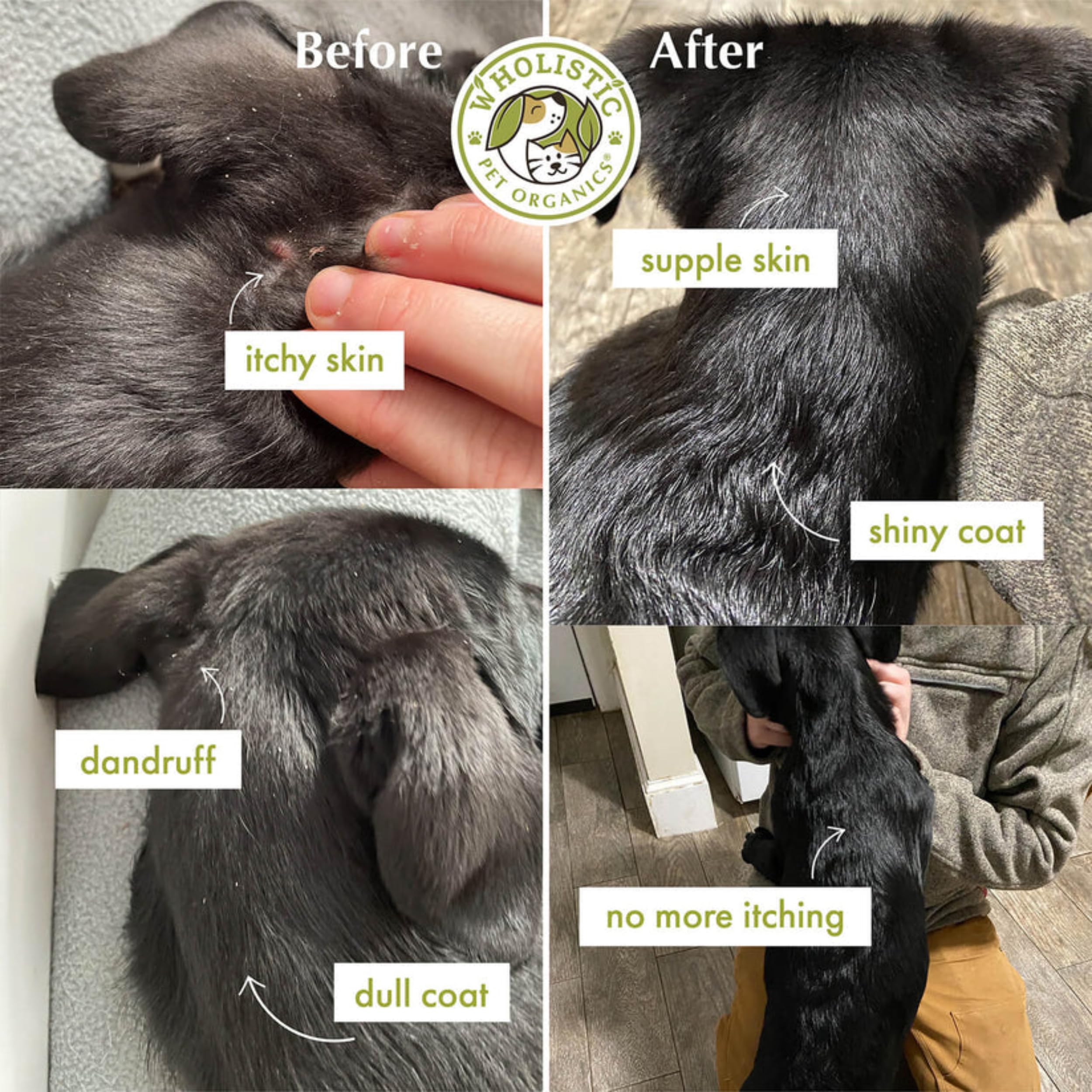 Conditionnement écologique Wholistic Pet Organics huile saumon