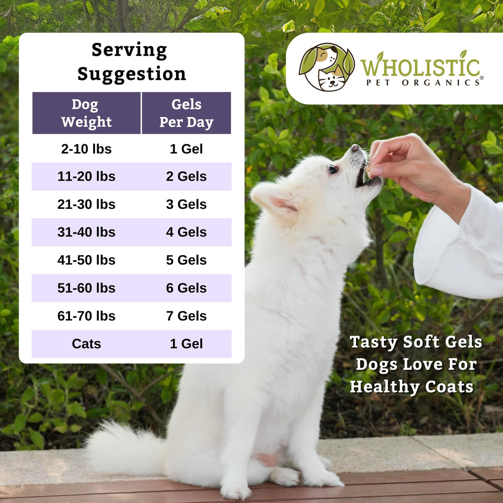 Wholistic Pet Organics utilisation quotidienne facile sur la nourriture.