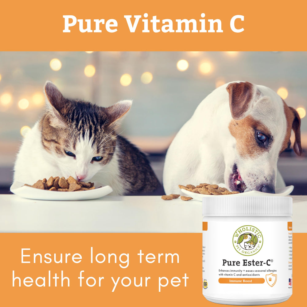 Wholistic Pet Organics Ester-C Poudre chien poil brillant après utilisation.