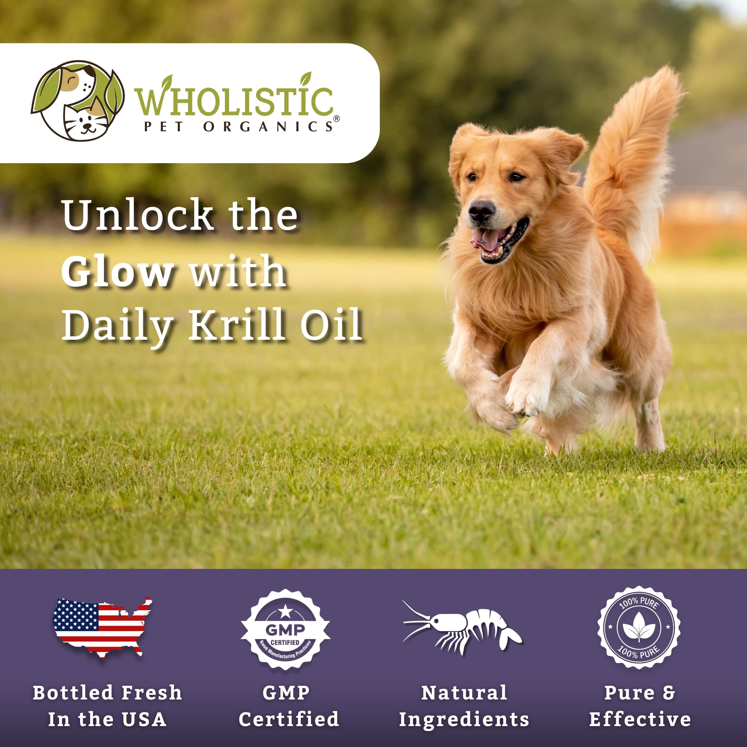 Wholistic Pet Organics fabriqué aux États‑Unis et NASC certifié.