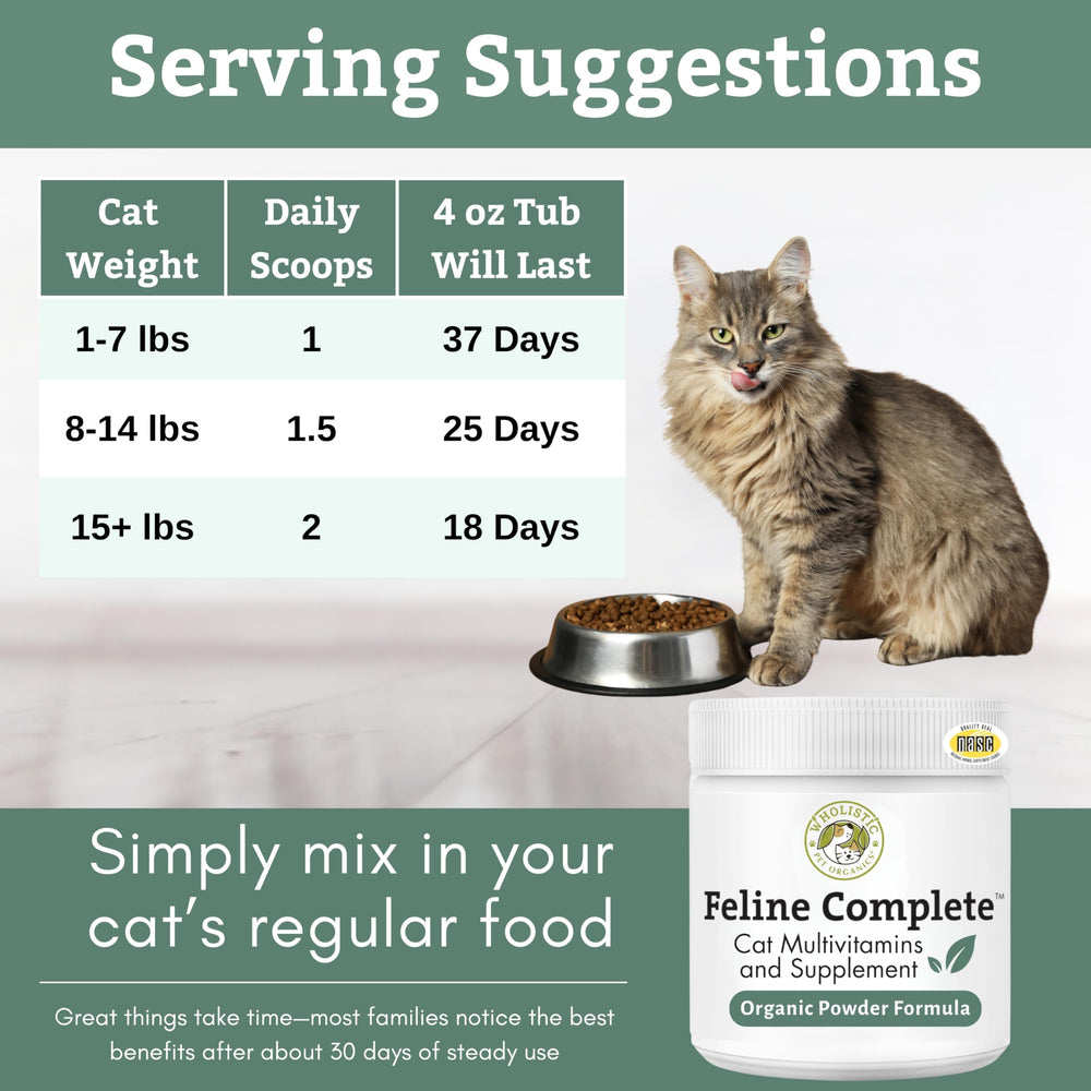Wholistic Pet Organics Feline Complete – soutien digestif et vitalité du chat au quotidien.