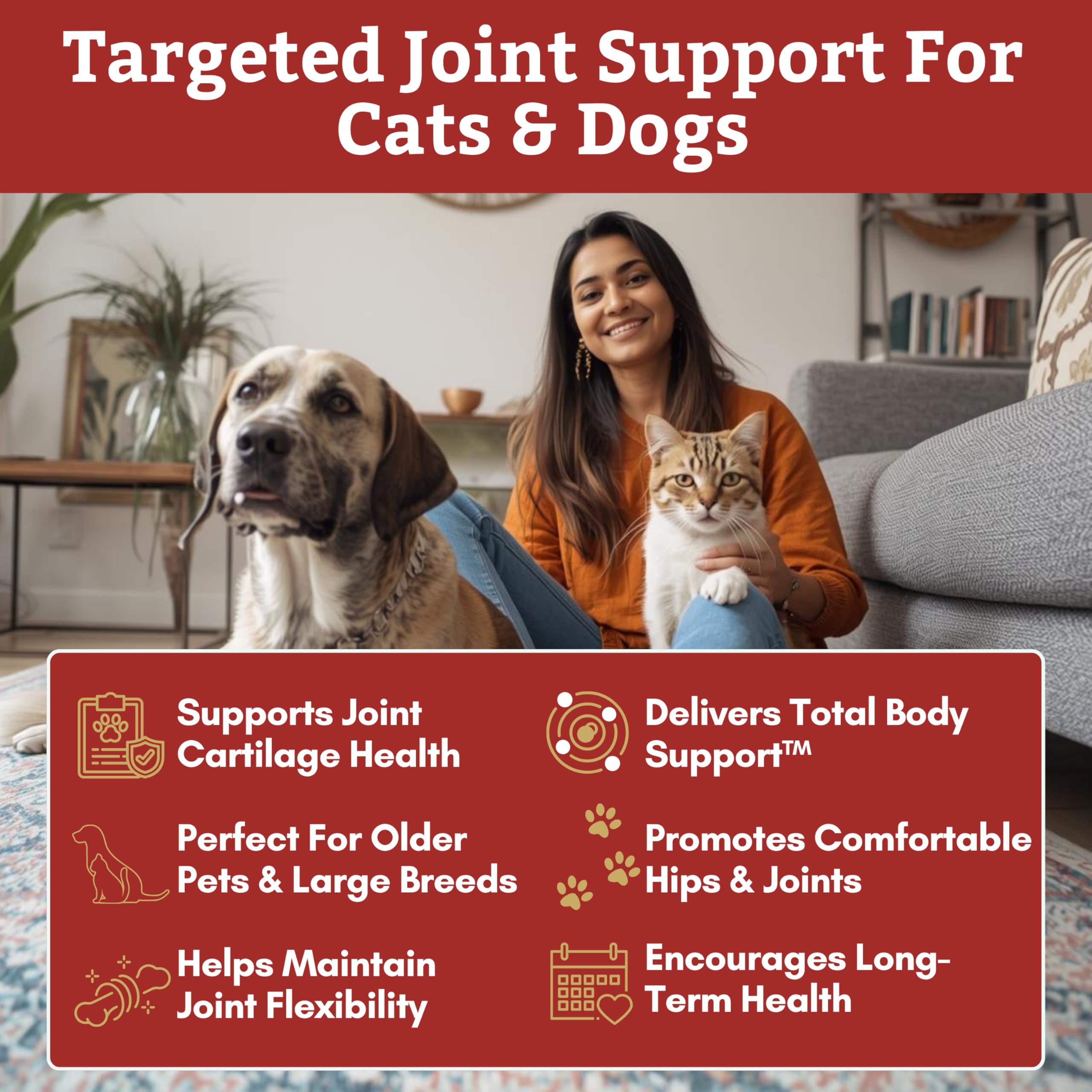 Wholistic Pet Organics Max Strength chondroïtine et MSM en poudre prête à être mélangée.