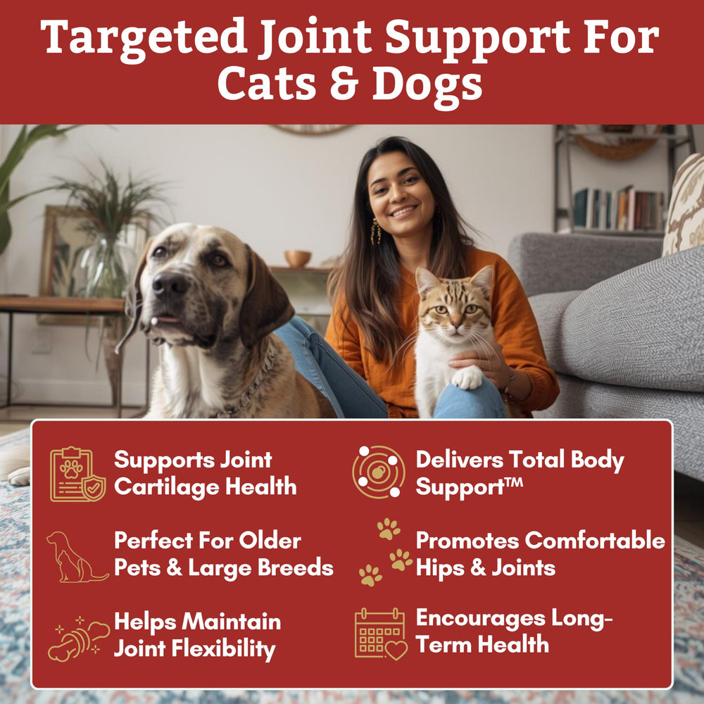 Wholistic Pet Organics Max Strength chondroïtine et MSM en poudre prête à être mélangée.