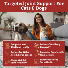 Wholistic Pet Organics Max Strength chondroïtine et MSM en poudre prête à être mélangée.