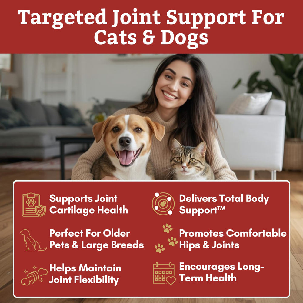 Wholistic Pet Organics Max Strength – palourde-verte : ingrédient naturel pour la mobilité des chiens et chats.