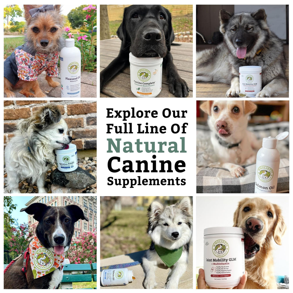 Wholistic Pet Organics Oméga-3 de qualité premium pour chiens et chats.