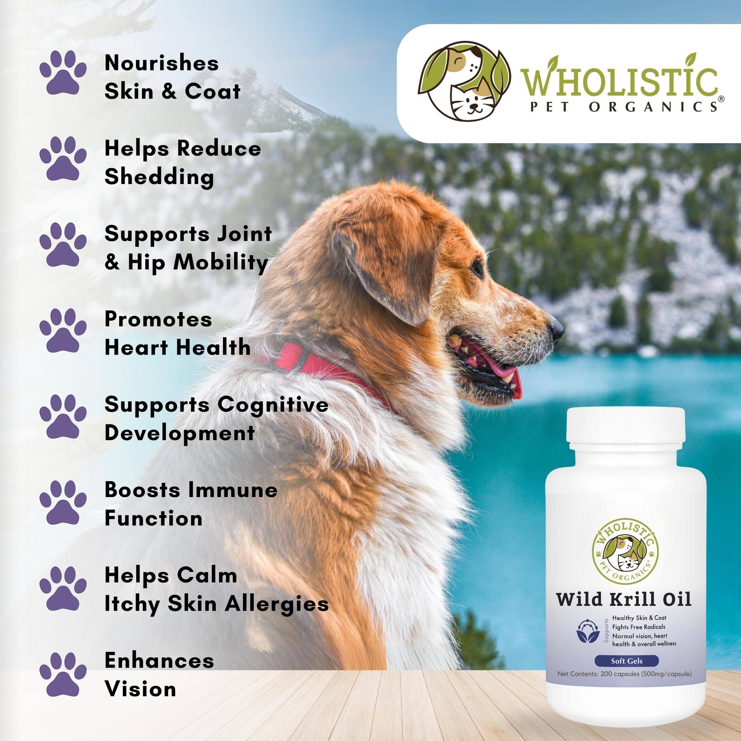 Wholistic Pet Organics peau saine et hydratée pour vos compagnons.