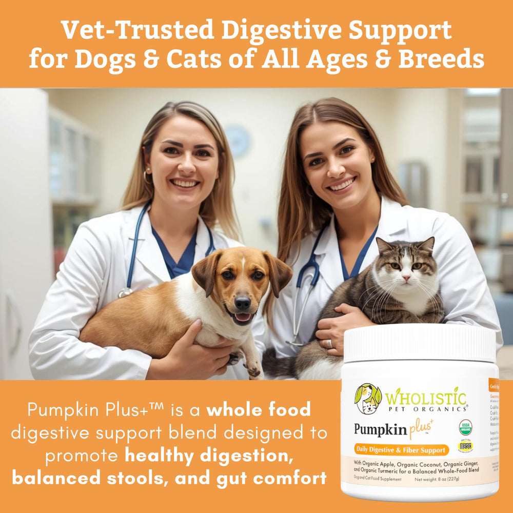 Wholistic Pet Organics Poudre Citrouille – doseur simple pour portionner facilement