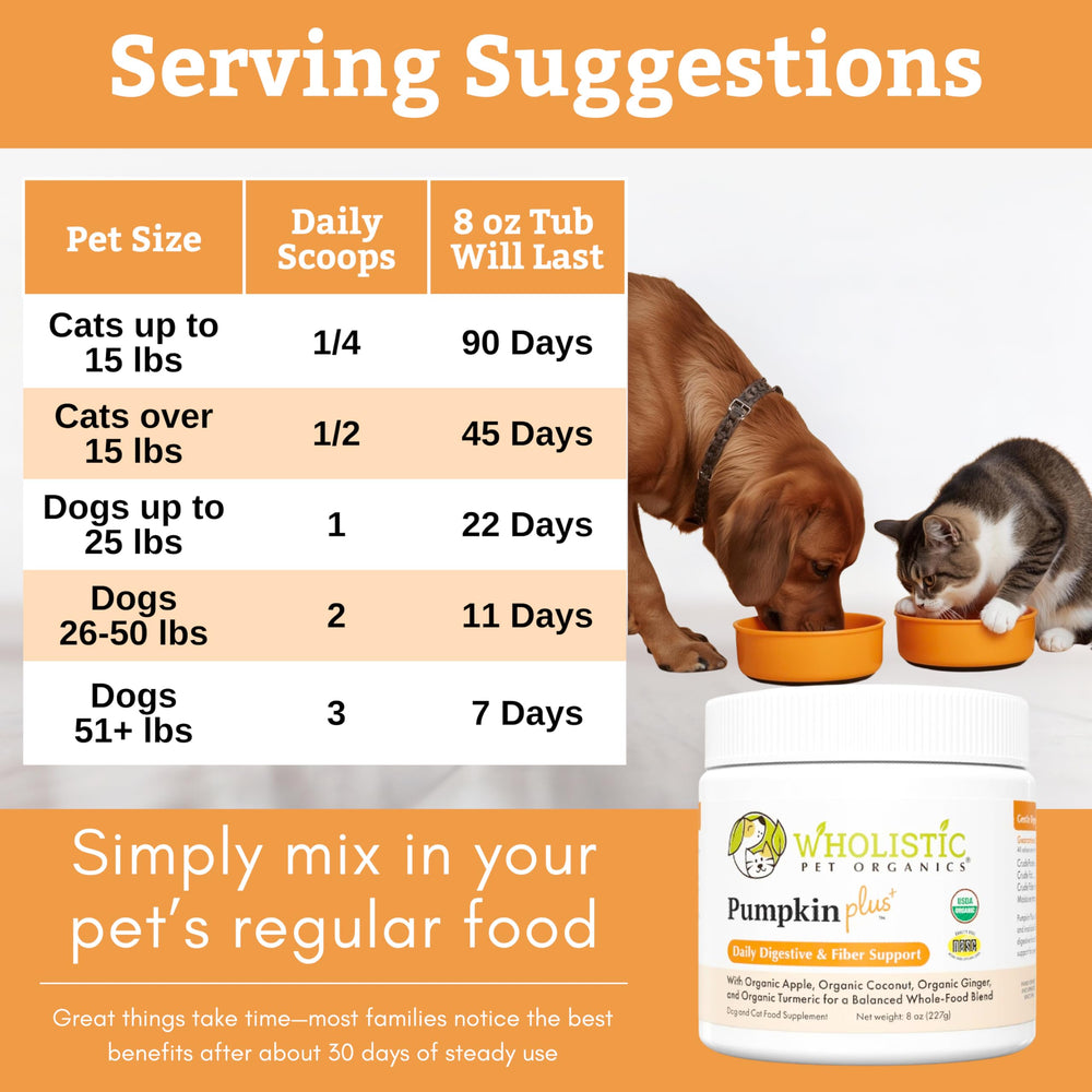 Wholistic Pet Organics Poudre Citrouille – fabriqué aux etats-unis