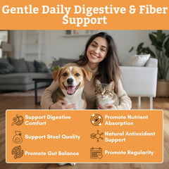 Wholistic Pet Organics Poudre Citrouille – fibres naturelles pour digestion et selles régulières
