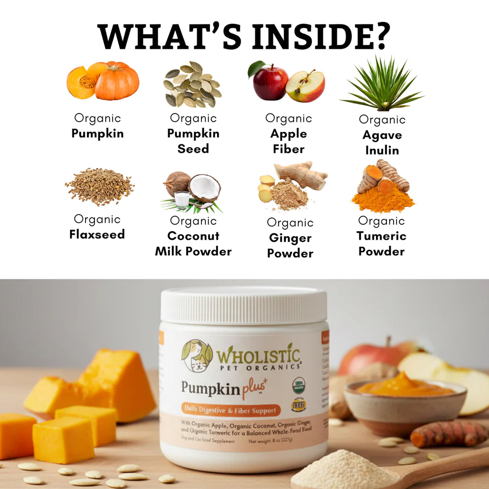 Wholistic Pet Organics Poudre Citrouille – mélange rapide avec nourriture quotidienne
