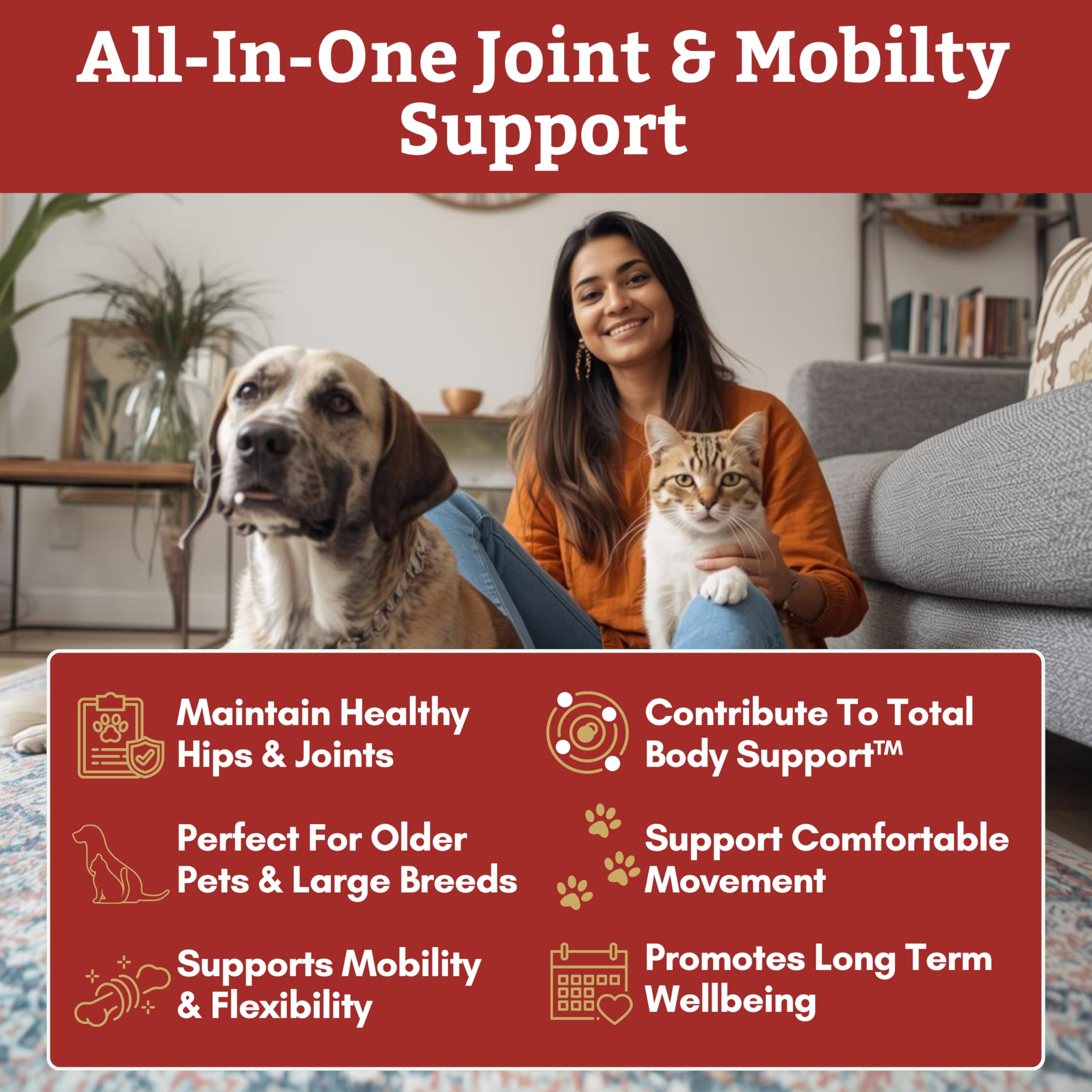 Wholistic Pet Organics poudre: mélange facile avec nourriture pour administration simple.