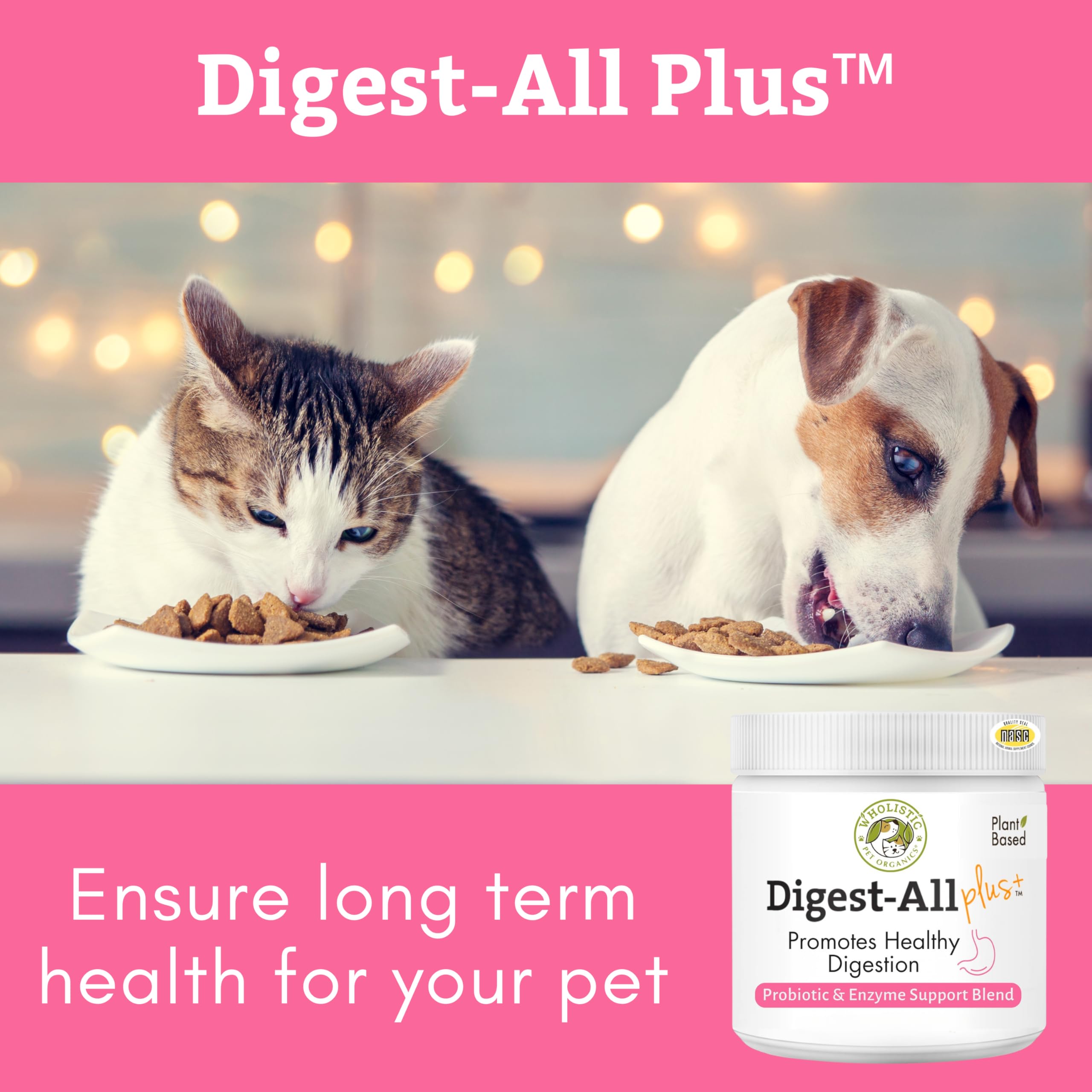 Wholistic Pet Organics prebiotiques-digestion: soutient la croissance des bonnes bactéries pour une digestion tranquille.