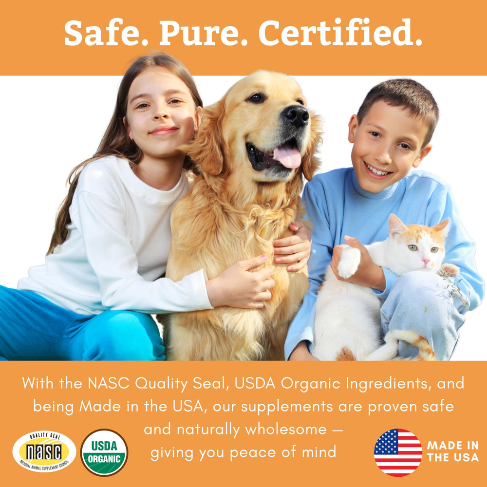 Wholistic Pet Organics Puppy Complete: sante-generale soutenue par probiotiques et citrouille dans le mélange