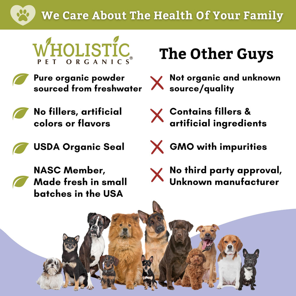 Wholistic Pet Organics Spiruline poudre: produit biologique sans additifs artificiels.