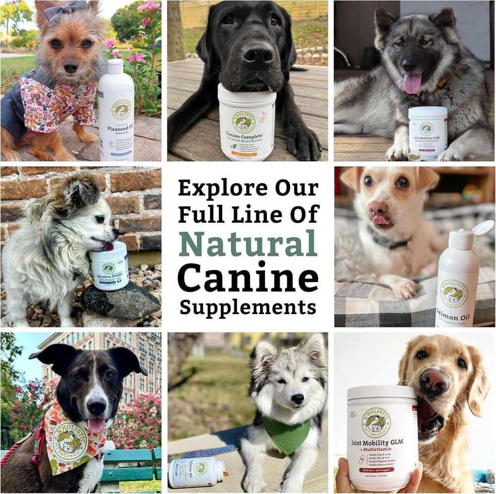 Wholistic Pet Organics Terre Diatomée, poudre concentrée pour soutien général de l’animal.