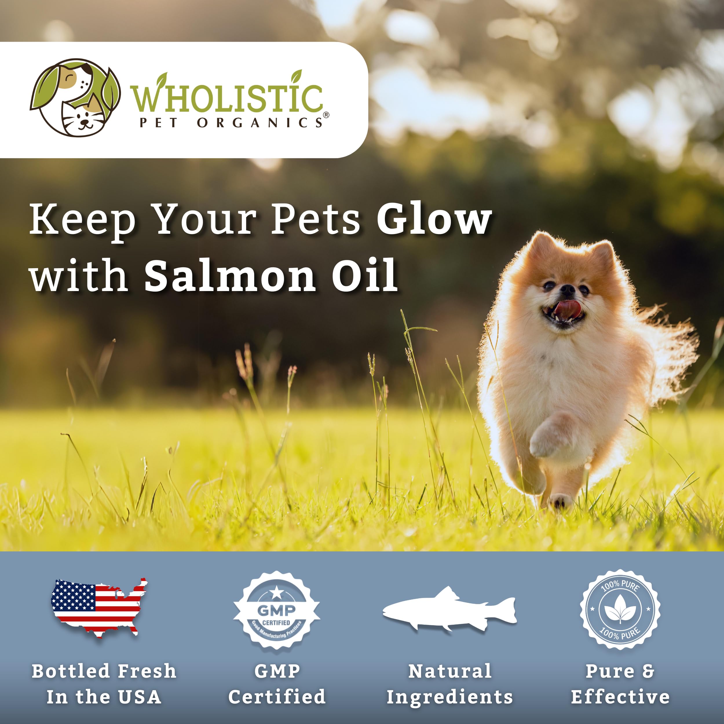 Usage quotidien pratique pour chiens et chats Wholistic Pet Organics