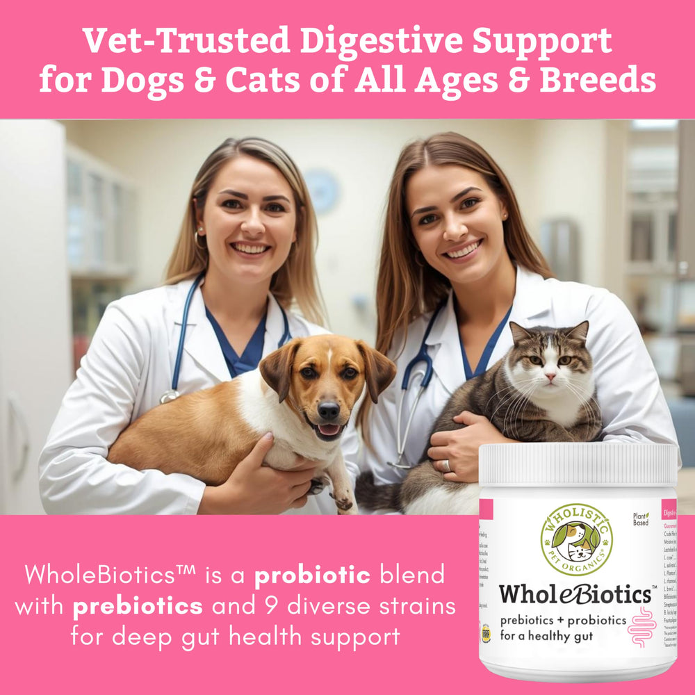 Cuillère-mesure WholeBiotics facilitant l’ajout au repas quotidien de votre animal
