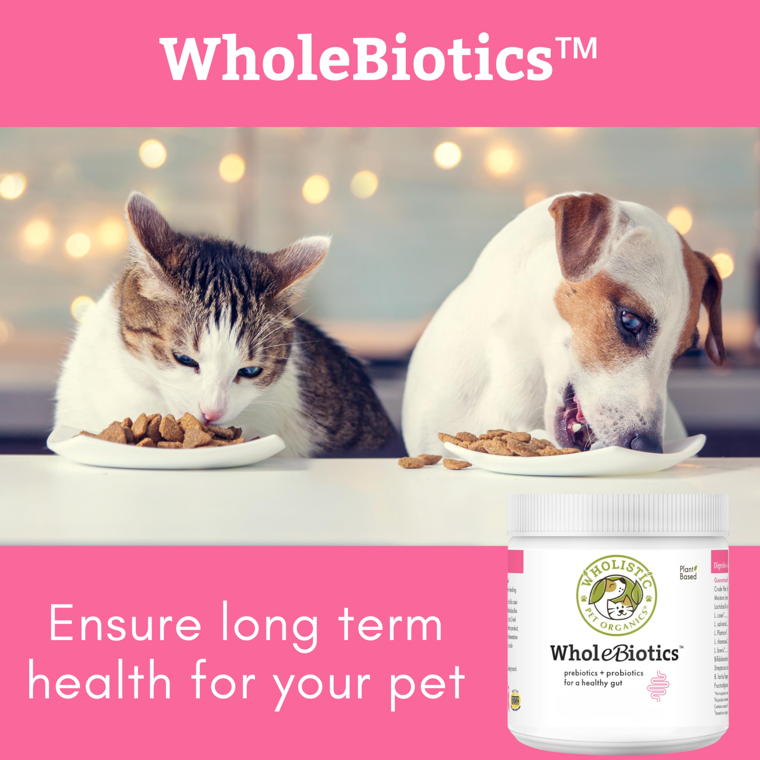 Produit hypoallergénique WholeBiotics, sans allergènes artificiels ni gluten