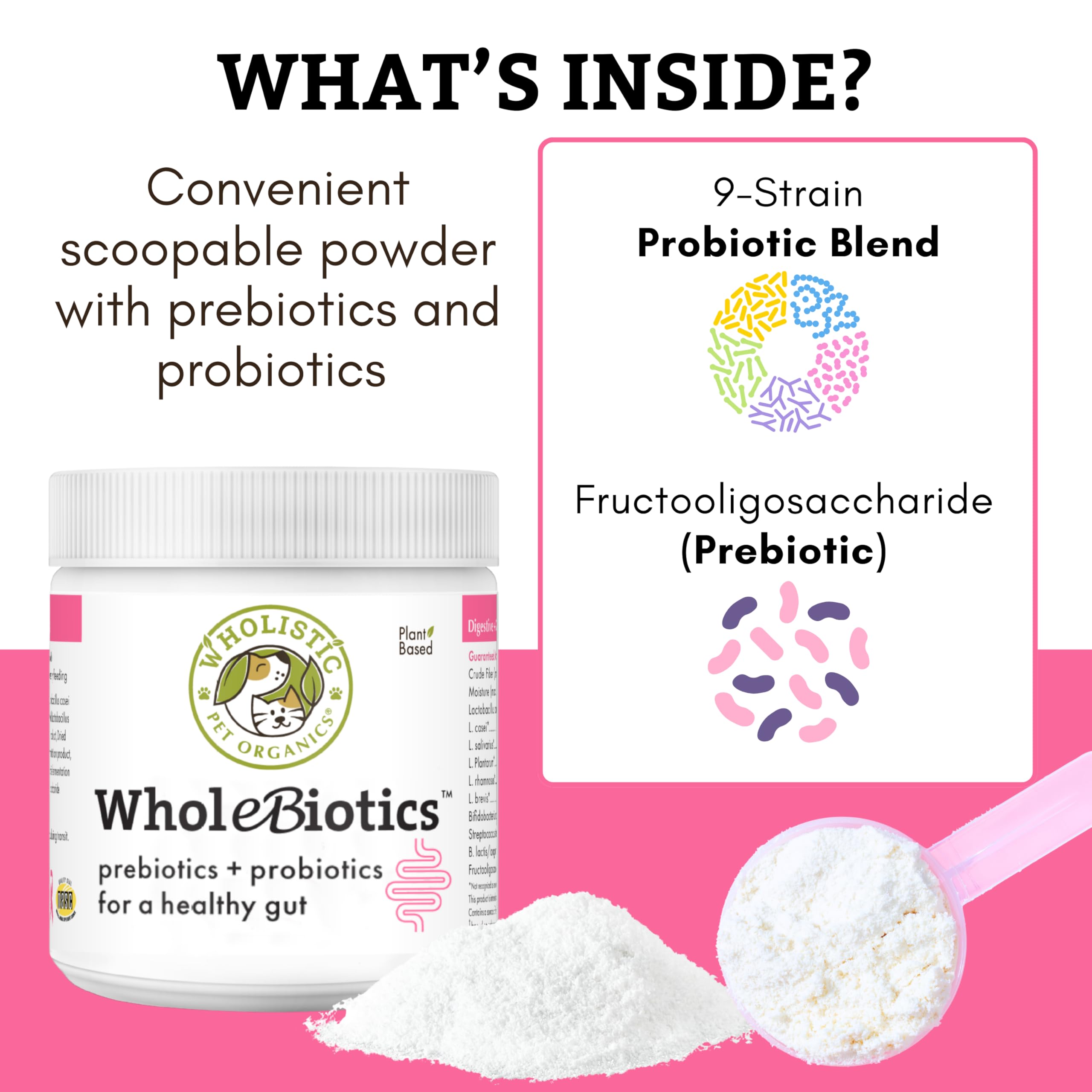 Poudre WholeBiotics mélangée à des prébiotiques pour le microbiote intestinal