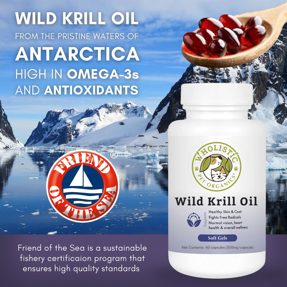 Wholistic Pet Organics capsule sans odeur, administration simple.