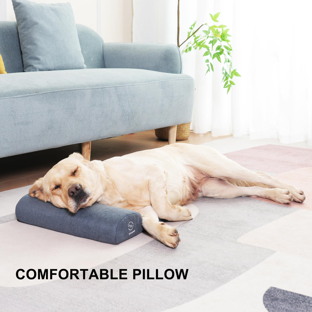 Soutien cervical Whoopub pour chien, posture repos.