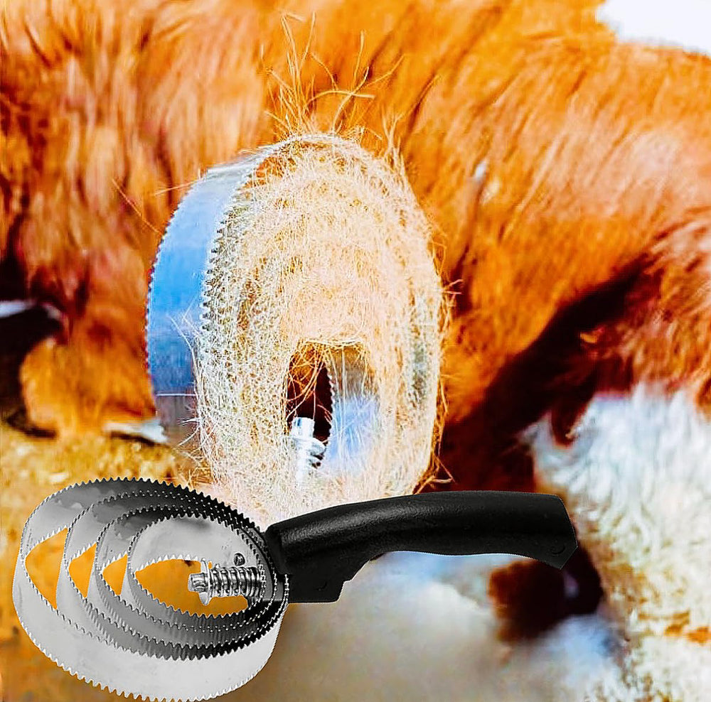 Construction résistante anti rouille WHZAZGW, conception durable