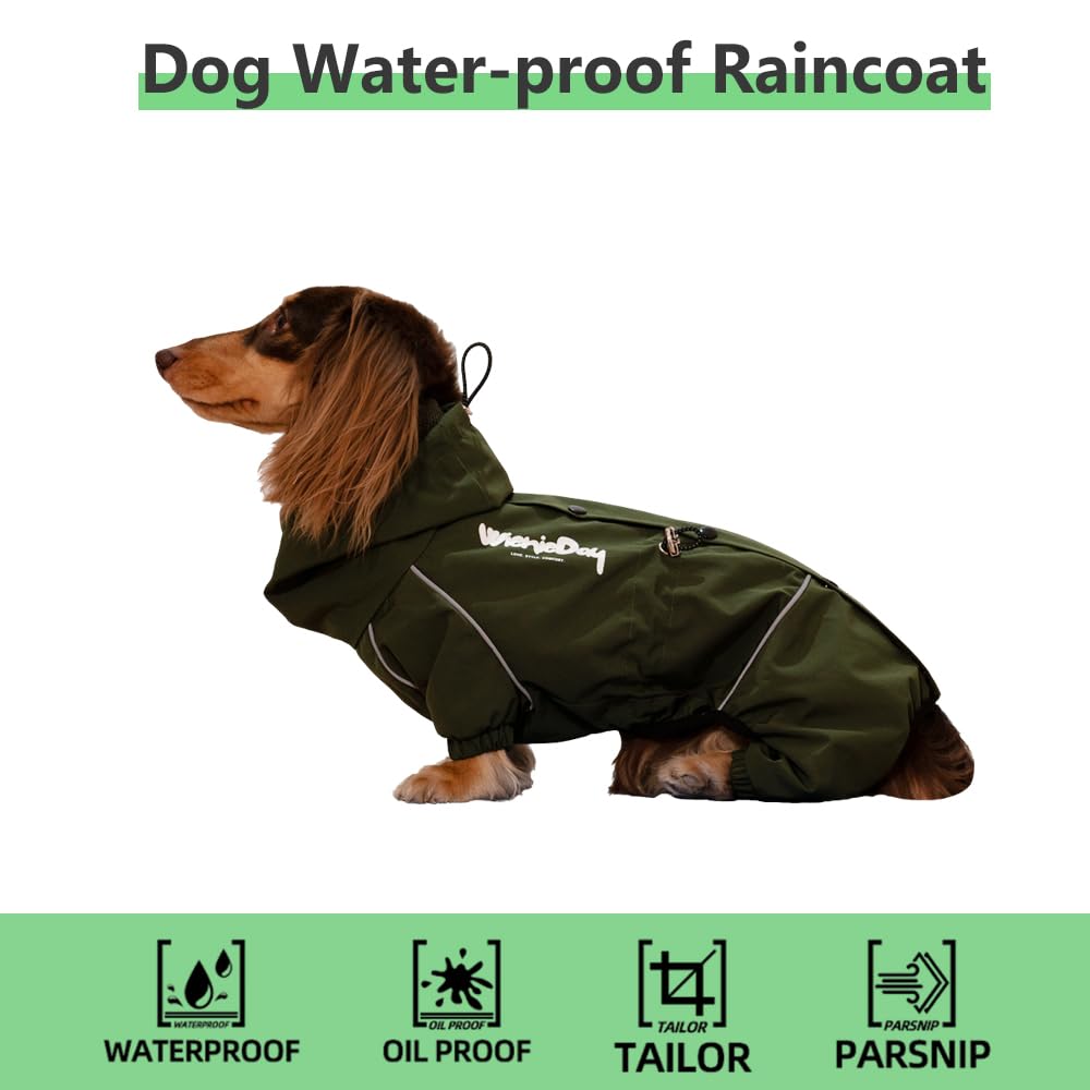 WienieDay dachshund capuche réfléchissante: meilleure visibilité lors des sorties nocturnes.