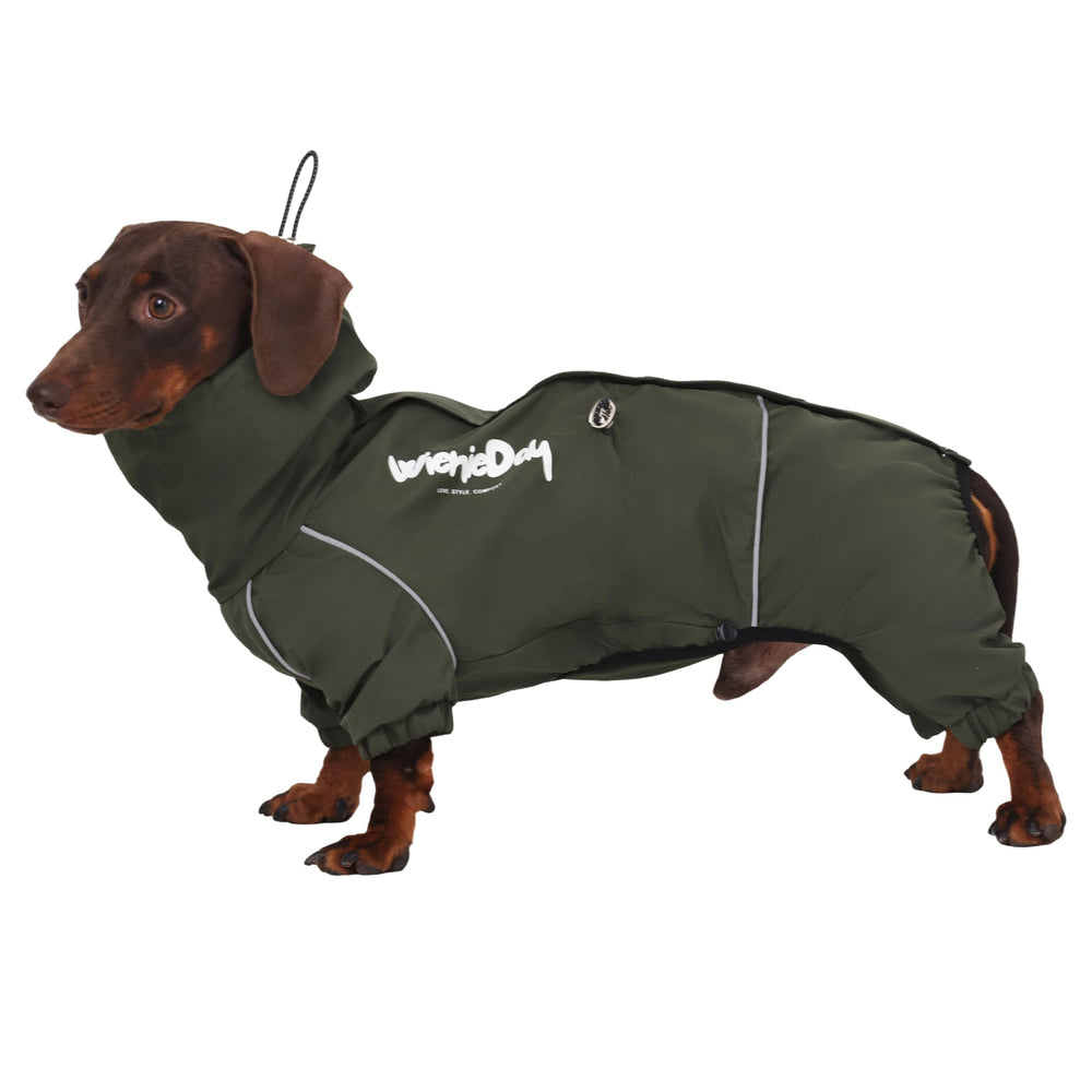 WienieDay dachshund imperméable capuche: protection lors des sorties sous la pluie.