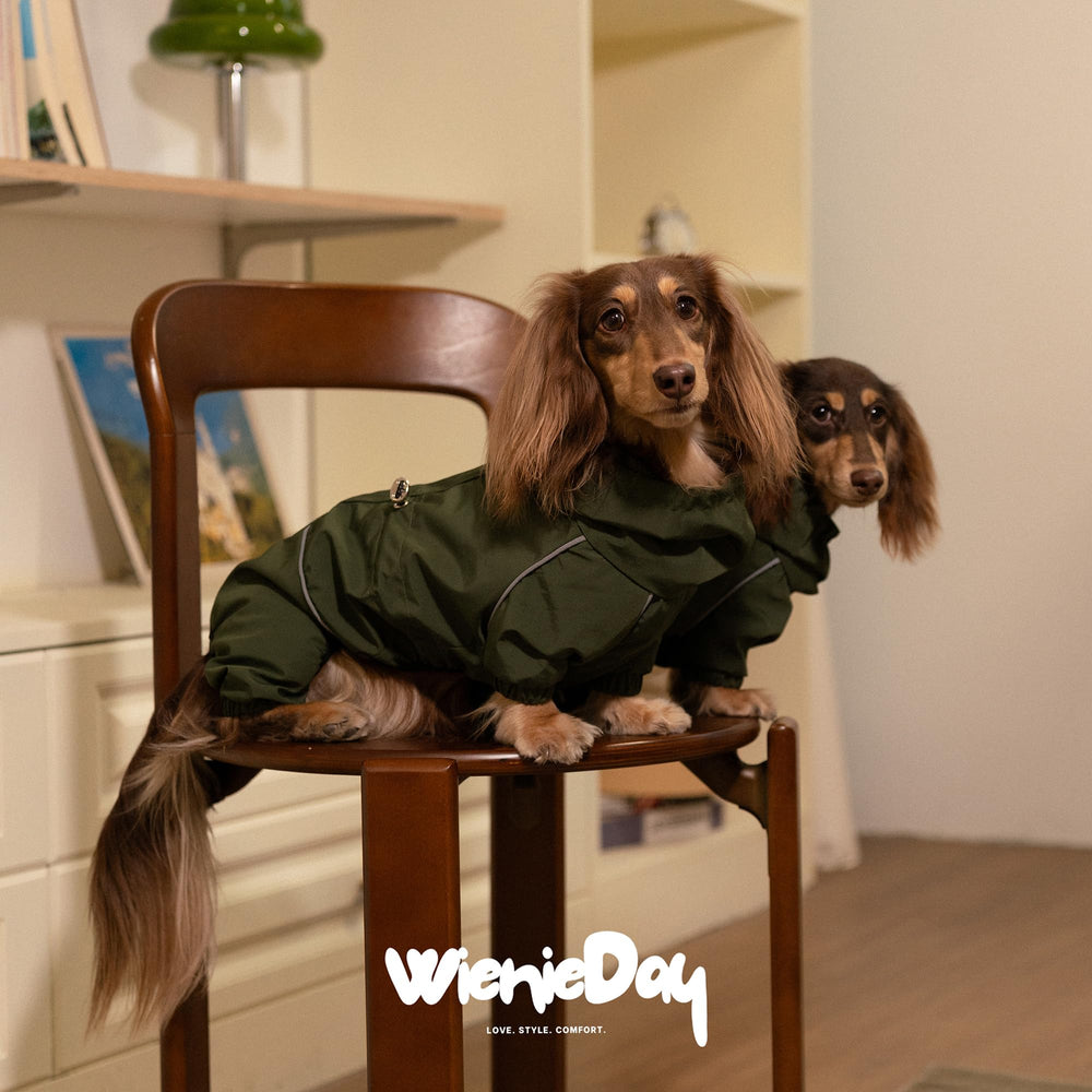 WienieDay manteau teckel couvre tout le corps pour chaleur et propreté.